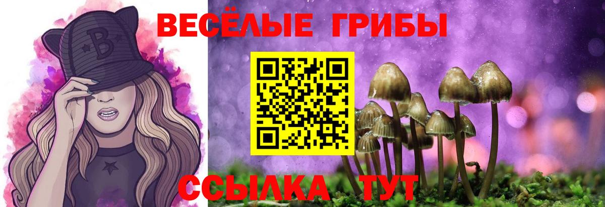 Галлюциногенные грибы GOLDEN TEACHER  Вход с VPN  Обнинск 